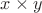 $x\times y$