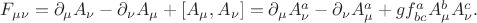 $F_{\mu\nu}=\partial_\mu A_\nu-\partial_\nu A_\mu+[A_\mu,A_\nu]=\partial_\mu A^a_\nu-\partial_\nu A^a_\mu+gf^a_{bc}A^b_\mu A^c_\nu.$