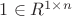 $1 \in R^{1 \times n} $