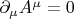 $\partial_\mu A^\mu =0$