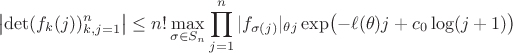 $$\left|\det(f_k(j))_{k,j=1}^n\right|\le n!\max_{\sigma\in S_n}\prod_{j=1}^n|f_{\sigma(j)}|_{\theta j}\exp\bigl(-\ell(\theta)j+c_0\log(j+1)\bigr)$$