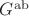 $G^{\rm ab}$