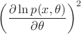 $\left(\dfrac{\partial \ln p(x,\theta)}{\partial\theta}\right)^2$