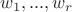 $w_1,...,w_r$