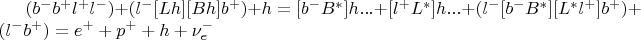 $(b^-b^+l^+l^-) + (l^-[Lh][Bh]b^+) + h = [b^-B^*]h... + [l^+L^*]h... + (l^-[b^-B^*][L^*l^+]b^+) + (l^-b^+) = e^+ + p^+ + h + \nu_e^-$