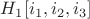 $H_1[i_1,i_2,i_3]$