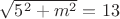$\sqrt{5^2+m^2}=13$