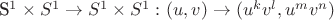 {S^1} \times {S^1} \to {S^1} \times {S^1}  \,\colon  (u,v) \to (u^{k} v^{l}, u^{m} v^{n})
