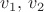 $v_1,\, v_2$