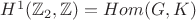 $H^1(\mathbb{Z}_2,\mathbb{Z})=Hom(G,K)$