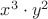 $x^3 \cdot y^2$