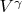 $V^{\gamma}$