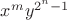 $x^m y^{2^n-1}$