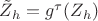 $\tilde Z_h = g^{\tau} (Z_h)$