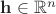 $\mathbf{h}\in\mathbb{R}^n$