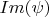 $Im(\psi)$