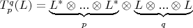 $T_{p}^{q}(L)=\underset{p}{\underbrace{L^*\otimes ...\otimes L^*}} \otimes \underset{q}{\underbrace{L \otimes...\otimes L}}$