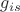 $g_{is}$