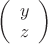 $\left(\begin{array}{c} y \\ z\\ \end{array} \right)$