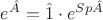 $e^{\hat A}  = \hat 1 \cdot e^{Sp\hat A} $