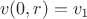 $$v(0,r)=v_1$$