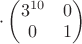 $\cdot \begin{pmatrix} 3^{10}& 0\\ 0 & 1\end{pmatrix} $