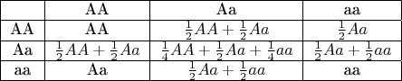 $$
\begin{tabular}{|c|c|c|c|}
\hline  & AA & Aa & aa \\ 
\hline AA & AA & $\frac{1}{2}AA+\frac{1}{2}Aa$ & $\frac{1}{2}Aa$ \\ 
\hline Aa & $\frac{1}{2}AA+\frac{1}{2}Aa$ & $\frac{1}{4}AA+\frac{1}{2}Aa+\frac{1}{4}aa$ & $\frac{1}{2}Aa+\frac{1}{2}aa$ \\ 
\hline aa & Aa & $\frac{1}{2}Aa+\frac{1}{2}aa$ & aa \\ 
\hline 
\end{tabular}
$$