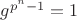 $g^{p^n-1}=1$
