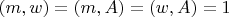 $(m,w)=(m,A)=(w,A)=1$