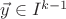 $\vec{y}\in I^{k-1}$