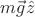 $m\vec{g}\hat{z}$