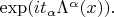 $\exp(it_{\alpha}\Lambda^{\alpha}(x)).$
