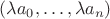 $(\lambda a_0,\dots,\lambda a_n)$