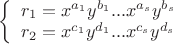$\left\{
\begin{array}{ll}
r_1=x^{a_1}y^{b_1}...x^{a_s}y^{b_s} \\
r_2=x^{c_1}y^{d_1}...x^{c_s}y^{d_s} 
\end{array}
$