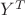 $Y^{T}$