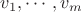$v_1, \dotsb, v_m$