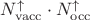 $N_\mathrm{vacc}^{\uparrow} \cdot N_\mathrm{occ}^{\uparrow}$