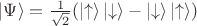 $\left|\Psi\right\rangle = \frac{1}{\sqrt{2}}(\left|\uparrow\right\rangle\left|\downarrow\right\rangle-\left|\downarrow\right\rangle\left|\uparrow\right\rangle) $