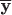 $\overline {\textbf y}$ $\overline {\textbf y}$