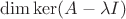 $\dim \ker (A - \lambda I)$