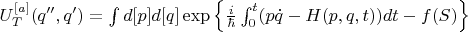 $U^{[a]}_{T}(q'',q')=\int{d[p]d[q]\exp\left\{\frac{i}{\hbar} \int_{0}^{t}(p\dot{q}-H(p,q,t) )dt - f(S) \right\}}$