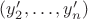 $(y'_2,\ldots,y'_n)$