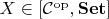 $X \in [\mathcal{C}^\mathrm{op}, \mathbf{Set}]$