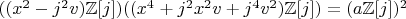 $((x^2-j^2 v)\mathbb{Z}[j])((x^4+j^2 x^2 v+j^4 v^2)\mathbb{Z}[j])=(a \mathbb{Z}[j])^2$