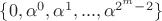 $\{0,\alpha ^0,\alpha ^1,...,\alpha ^{2^m-2}\}$