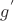 $g^'$
