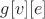 $g[v][e]$