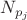 $N_{p_j}$