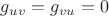 $g_{uv}=g_{vu}=0$