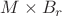 $M\times B_r$